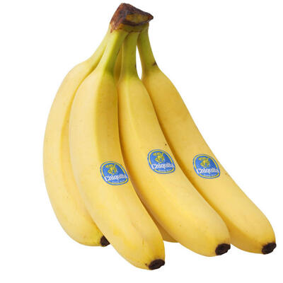 000000000001855-01.JPG